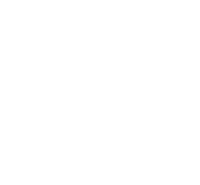 FLYSTR8 Vault