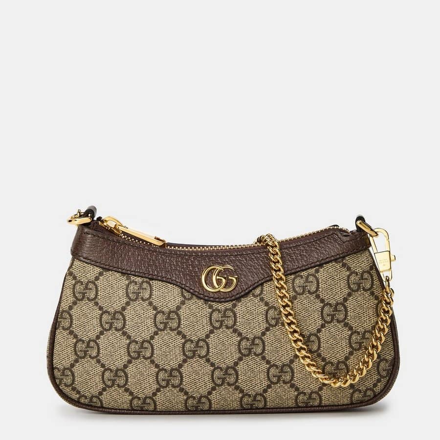 Gucci Ophidia Canvas Mini Bag